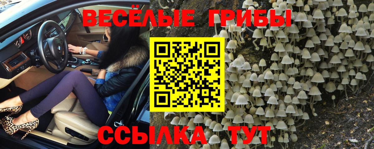 Псилоцибиновые грибы Psilocybe  Псилоцибиновые грибы Magic Shrooms  Владивосток  Вход с VPN 